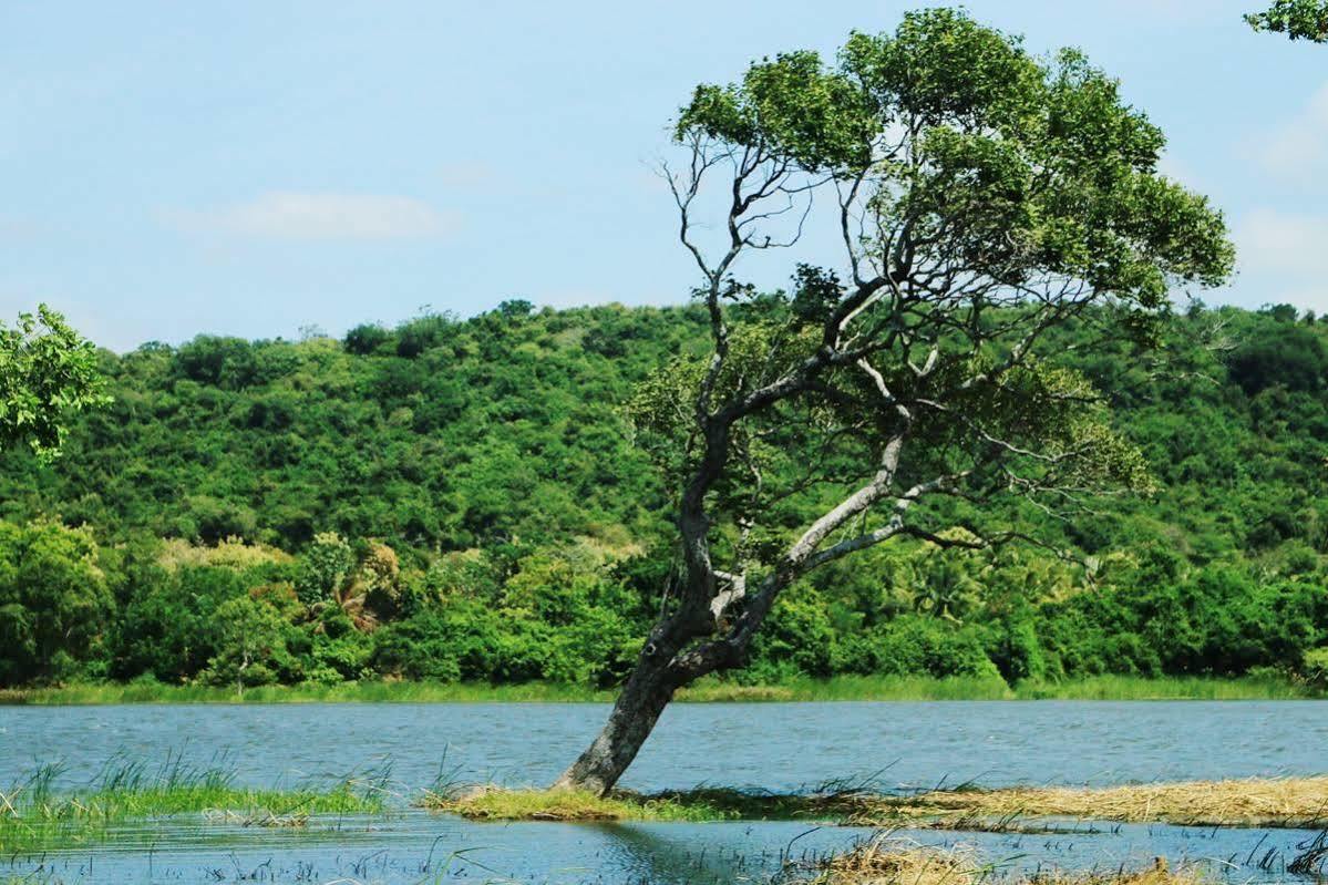 Athena Lake By Seedevi Dambulla Εξωτερικό φωτογραφία